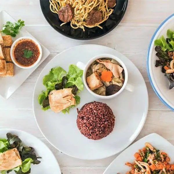 EHA group nutrition programme