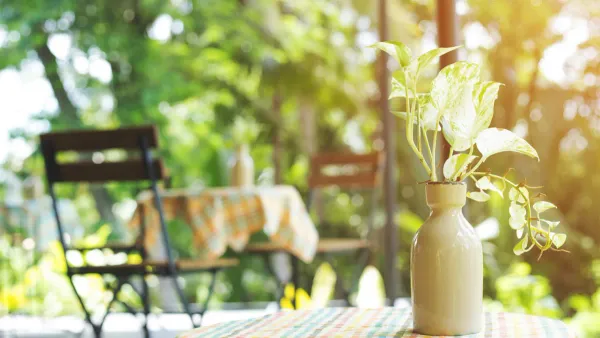 Natural green environment at FCC Family Care Centre, Ulu Tiram