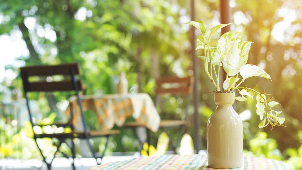 Natural green environment at FCC Family Care Centre, Ulu Tiram