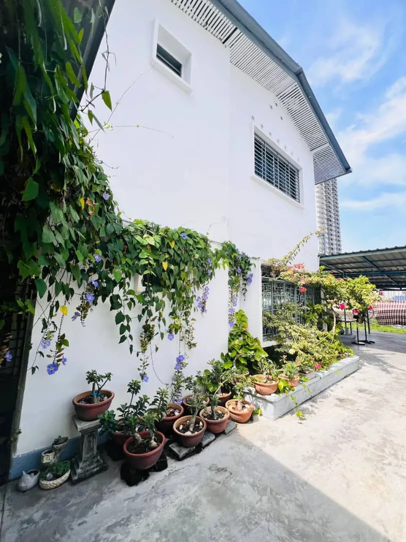 Garden walkway at Graceland Care Centre